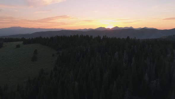 Aerial view flying over forest on rolling hills towards sunset