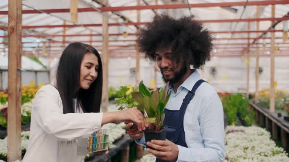 Asian Female Biologist with Garden Employee in Greenhouse