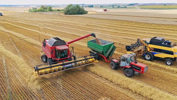 Harvesting field with combine. Aerial view on the combines and tractor working on the large wheat fi