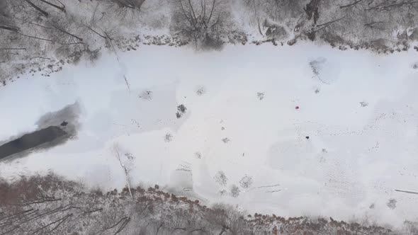 Frozen River And Forest