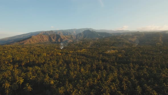 View Mountain Landscape