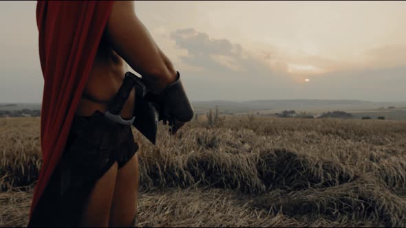 Shirtless Spartan Wearing Helmet in Dry Field, Sunset.