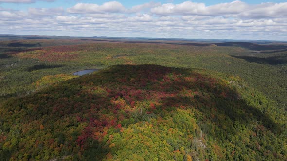 aerial view of beautiful autumn colors over a national forest