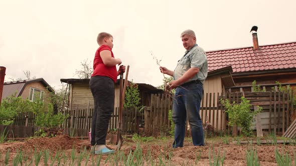 Son and Father are Planting a Fruit Tree Together Bottom View