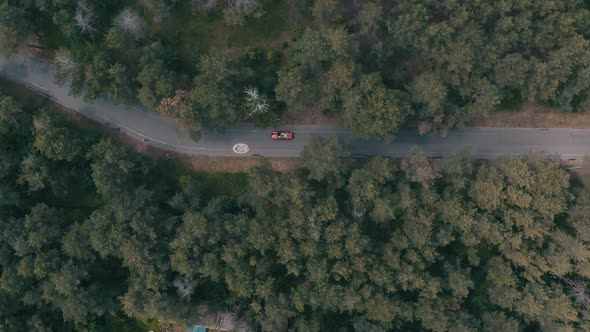 Red Car Driving in Forest 