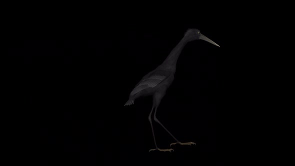 Black Heron - Passing Screen