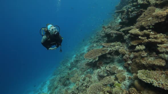 Female Diver Diving Along Reef
