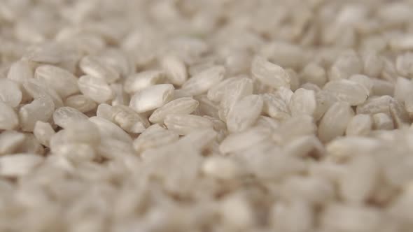 Raw uncooked integral rice falling in slow motion. Grains extreme close up