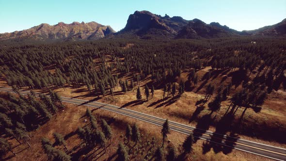 Aerial View of Mountain Road and Forest