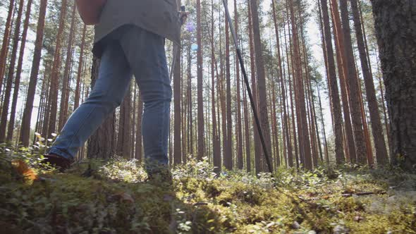 Senior Female Tourist Doing Cardio Exercise in Woods