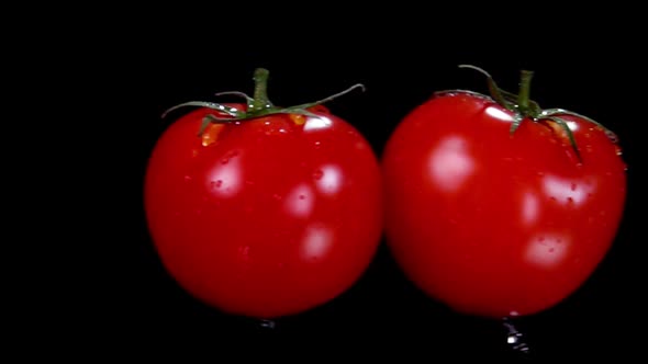 Closeup of the Two Ripe Red Tomatoes Flying Colliding on the Black Background