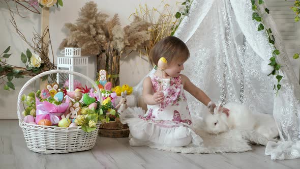 Little Girl in a Beautiful Dress is Ironing a Cute White Rabbit on Easter Holiday