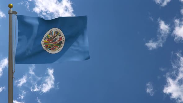 Organization Of American States Flag On Flagpole