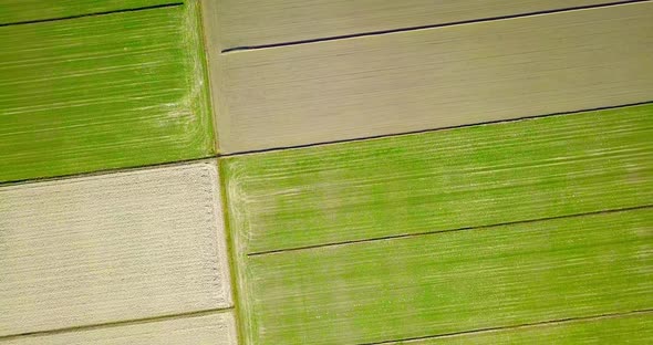 Plowed Unseeded Fields Near Green Plots with Early Sprouts