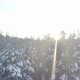 The Sun In The Winter Forest - VideoHive Item for Sale