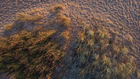 a Bird's Eye View From Above Taken From a Copter on a Sandy Beach with an Island of Tall Grass That