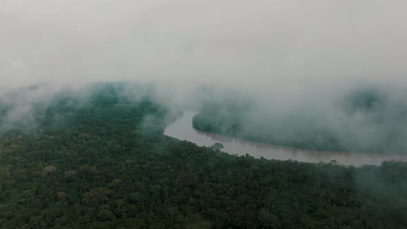 Drone descends through thin cloud over lush Amazon rainforest, meandering river