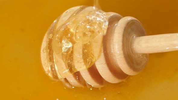 Glass Bowl with Honey and Spoon, Flowing Down