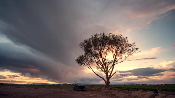 Time lapse of tree silhouetted against the sky with dramatic clouds
