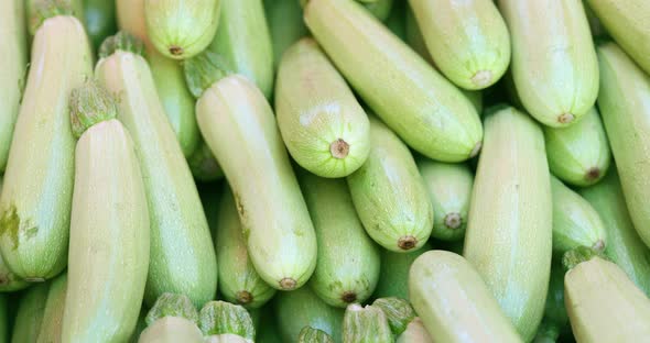 Many Rows of Green Zucchini on Counter of Street Food Market