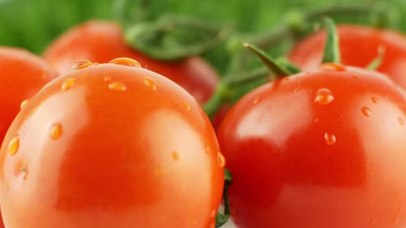 Cherry tomatoes close-up. Rotating on a green background Macro shot. Garden, gardening concept.