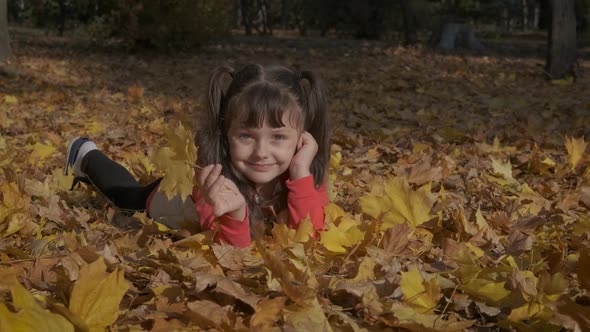 Lay in golden foliage