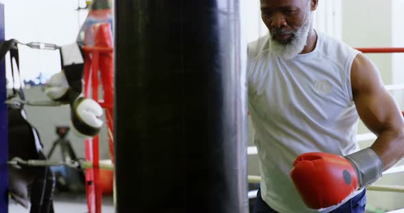 Senior man practicing boxing on the punching bag 4k