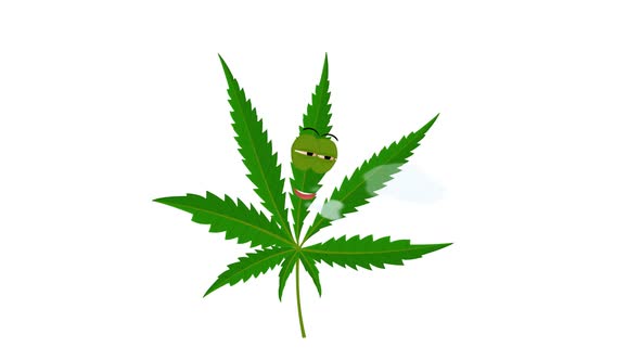 Marijuana Leaf