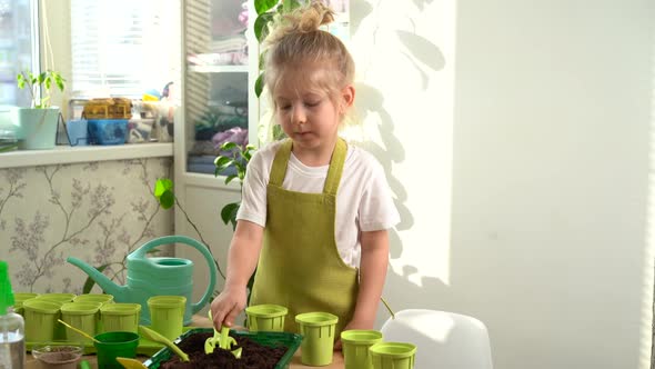 a Little Blonde Girl is Engaged in Planting Seeds for Seedlings Pouring Earth Into Pots for Growing