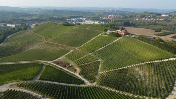 Langhe Vineyard Aerial View, Piedmont Italy