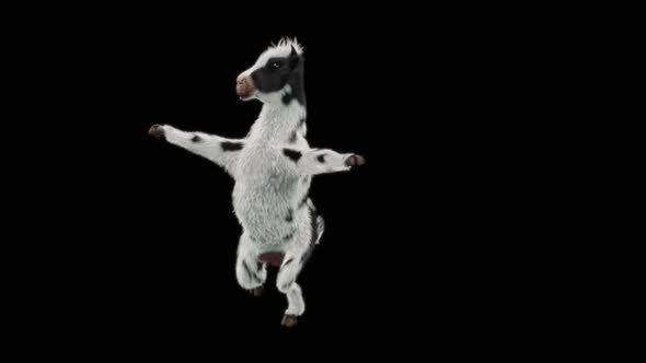 Cow Dance HD