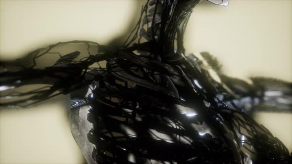 Human Skeleton Bones Scan Glowing alt