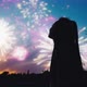 Watching The Fireworks. Sunset. - VideoHive Item for Sale