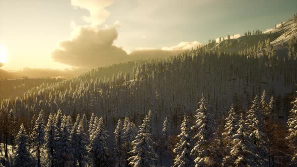 Winter Landscape with Foggy Mountain Sunset alt