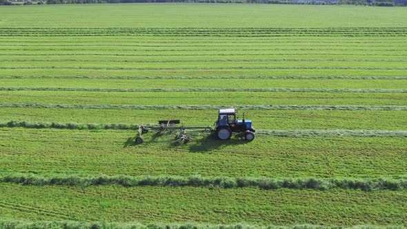 Farmer Tractor With Tedder Turns Hay On Agricultural Field For Drying