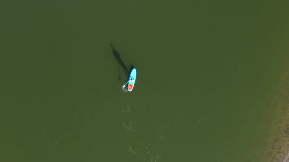 Caucasian man on top of a paddle board paddleboarding on a dam lake reservoir in Alentejo, Portugal