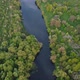 View of the river from above. Flight over water and forest trees from a height - VideoHive Item for Sale