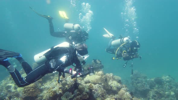 Scuba Divers Underwater. Leyte, Philippines.