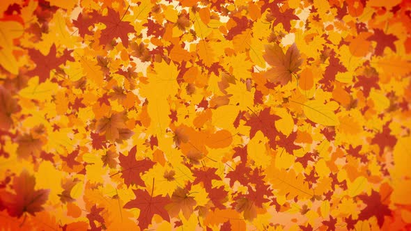 Autumn Leaves Background