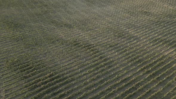 Aerial flight over beautiful vineyard landscape in Kakheti, Georgia