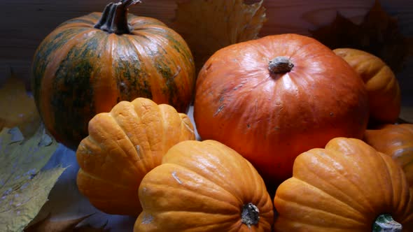 Ripe Orange Pumpkins on a Wooden Board with Yellow Maple Leaves