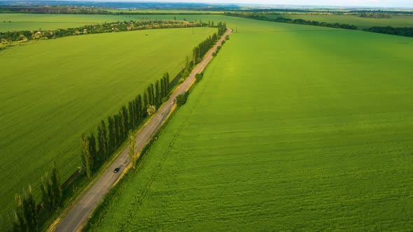 Aerial View Of Green Fields