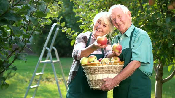 Senior Couple Holding Apples.