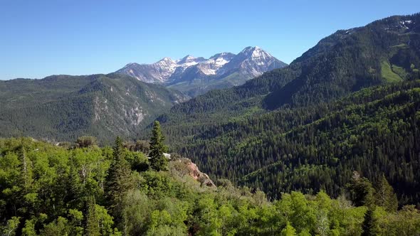 Aerial view flying backwards over green forest on mountain top