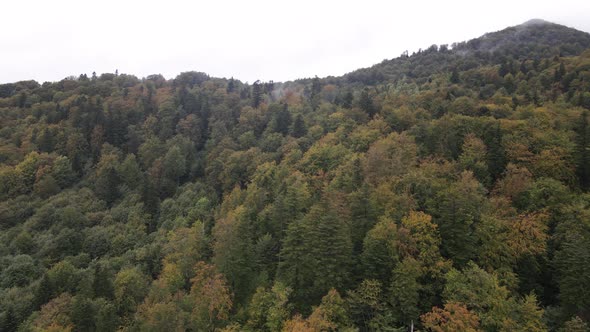 Aerial View of the Carpathian Mountains in Autumn. Ukraine