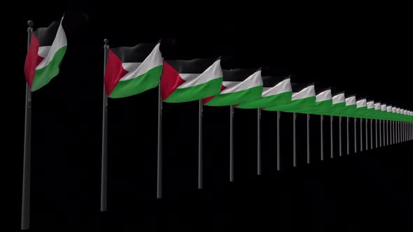 Row Of Palestine Flags With Alpha 2K