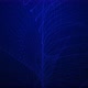 Amazing Blue Color New Digital Particle Line Animated Background - VideoHive Item for Sale