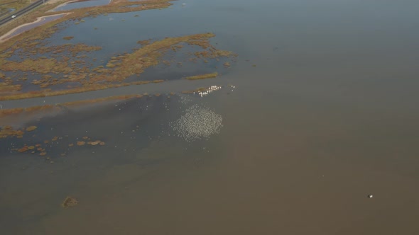 Aerial video of Delta water in Northern California