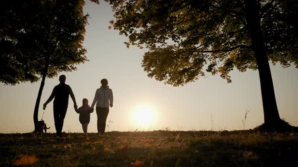 Silhouettes of a Family Holding Hands and Walking with a Dog During Amazing Sunset