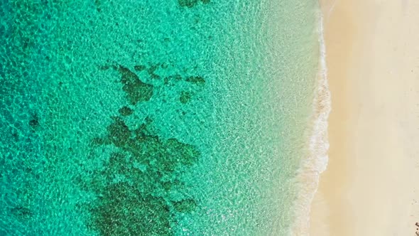 Aerial nature of tropical tourist beach lifestyle by clear ocean and white sandy background of a day